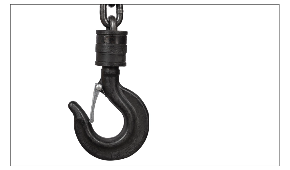 DHS220V Electric Chain Hoist