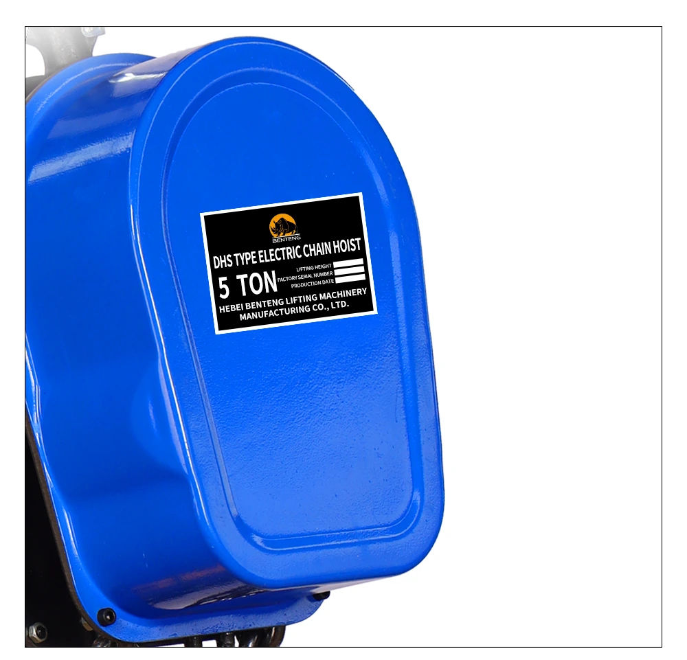 DHS220V Electric Chain Hoist