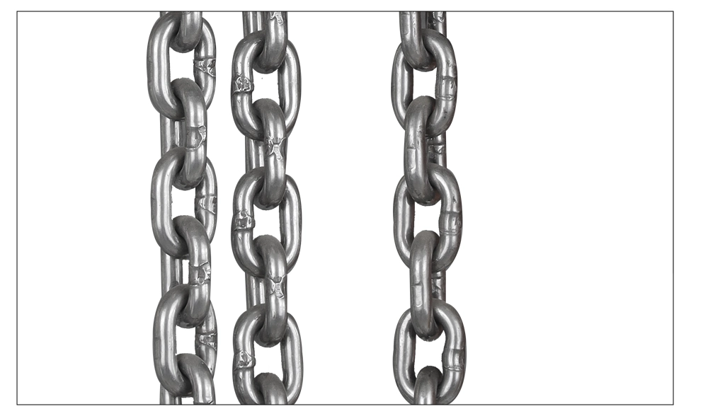 Stainless Steel Electric Hoist