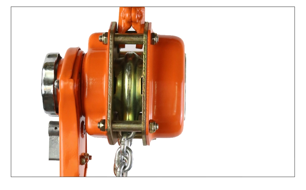 VA Lever Hoist
