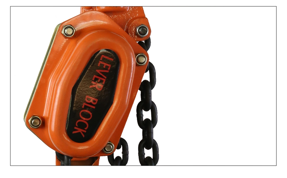 VA Lever Hoist
