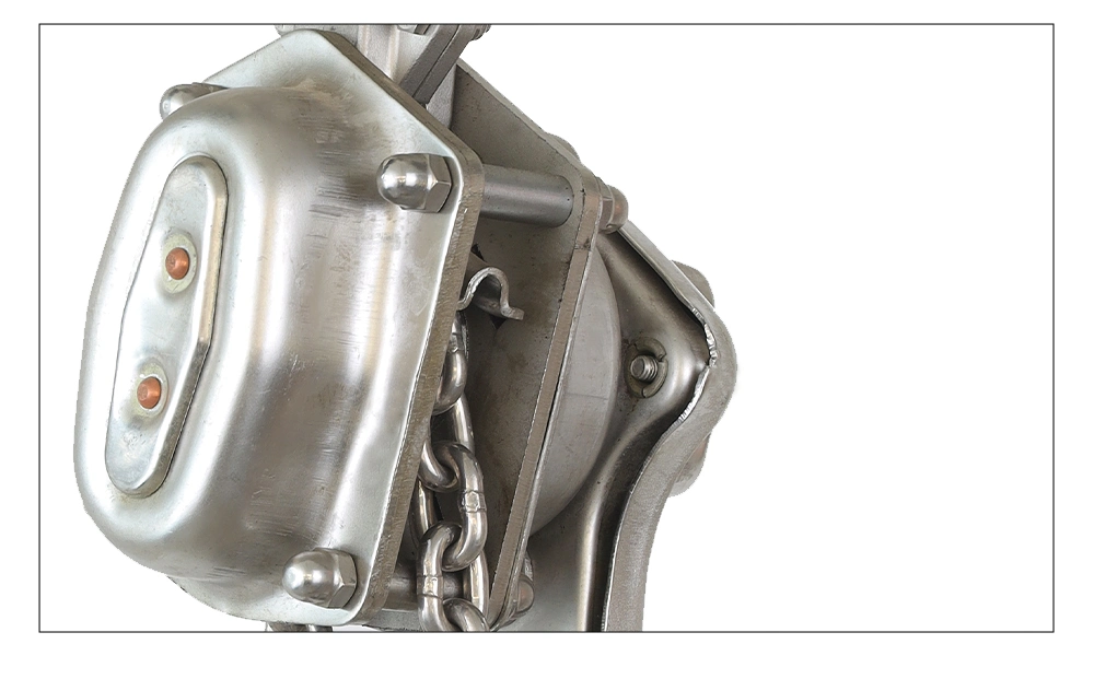 VA Stainless Steel Lever Hoist